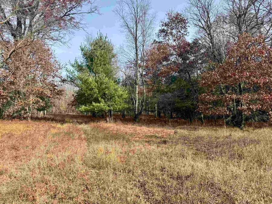 Parcel E Rosted, Lake City, MI 49651 - Image #2