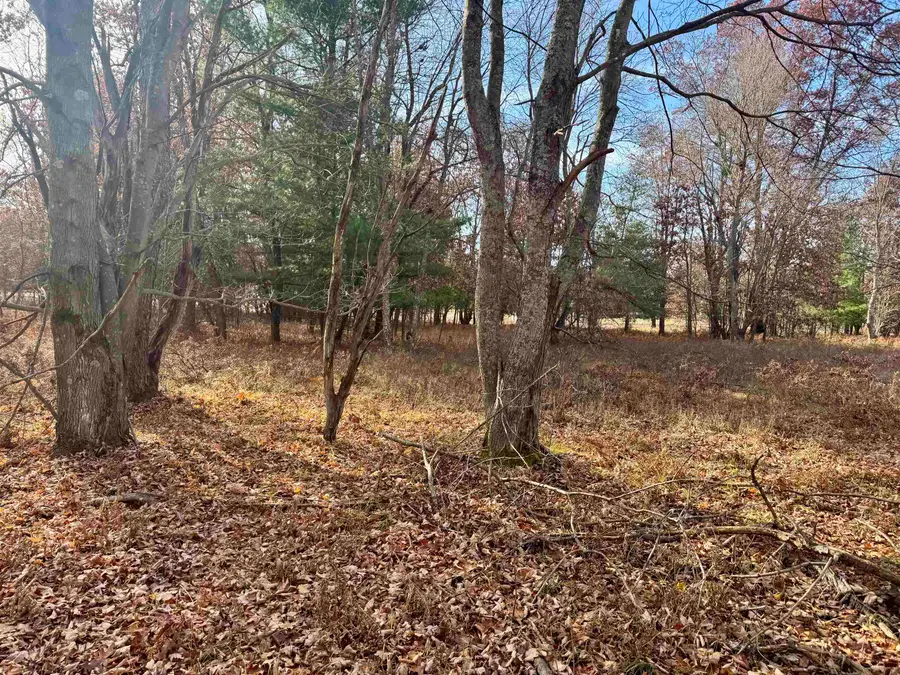 Parcel E Rosted, Lake City, MI 49651 - Image #3