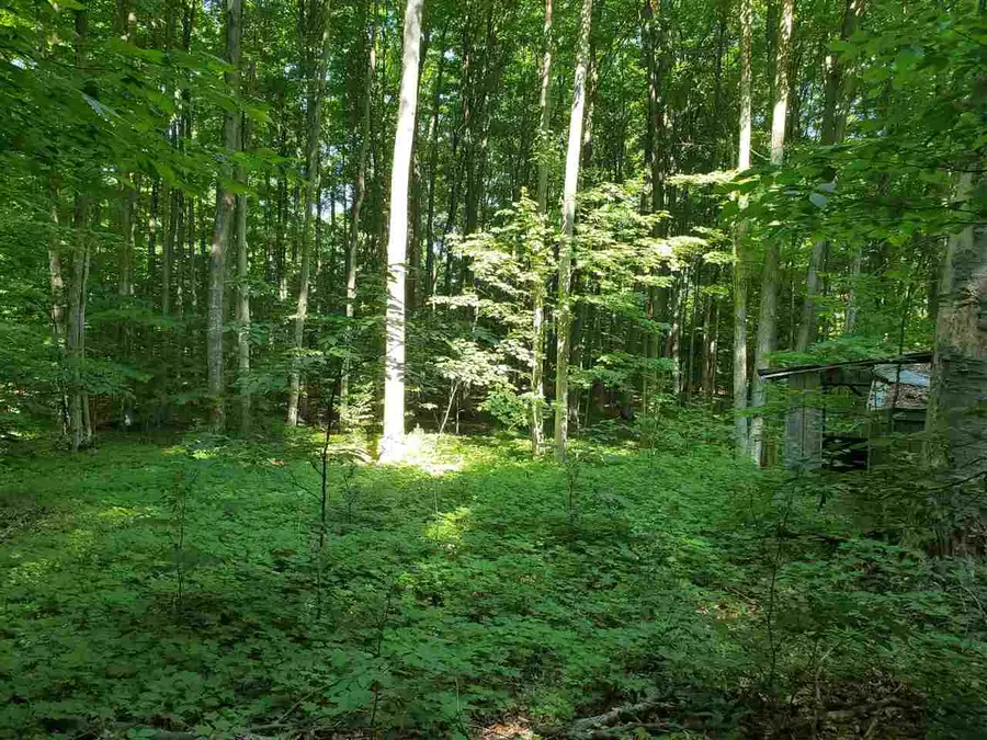 00 Crescent, Traverse City, MI 49685 - Image #2