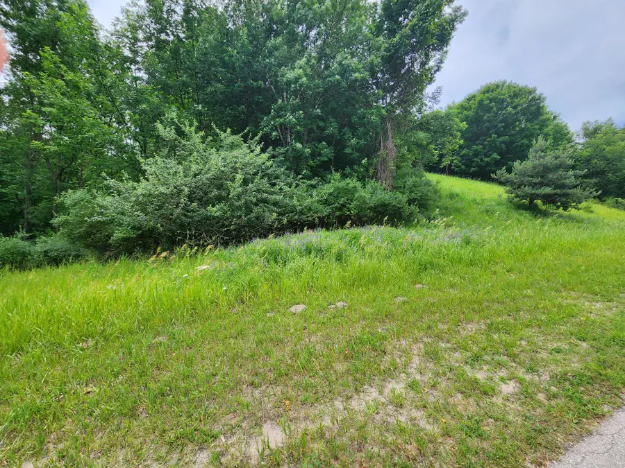 0000 Deer Ridge, Beulah, MI 49617 - Image #2