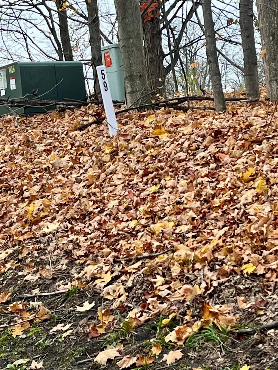 V/L 59 Colonial, Bellaire, MI 49615 - Image #3