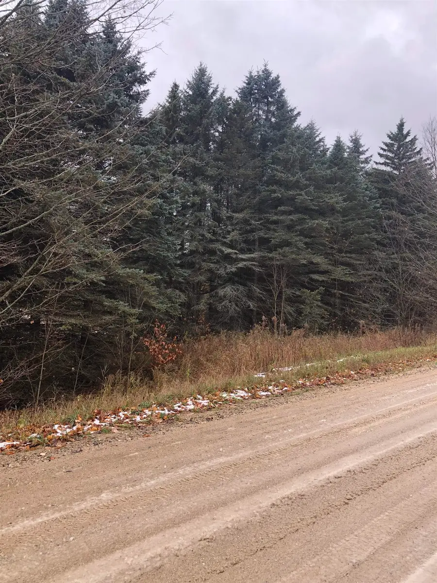 22 Mile, Tustin, MI 49688 - #3