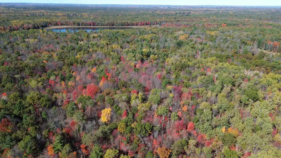 4594 Timber Lane, Prescott, MI 48756 - Image #3