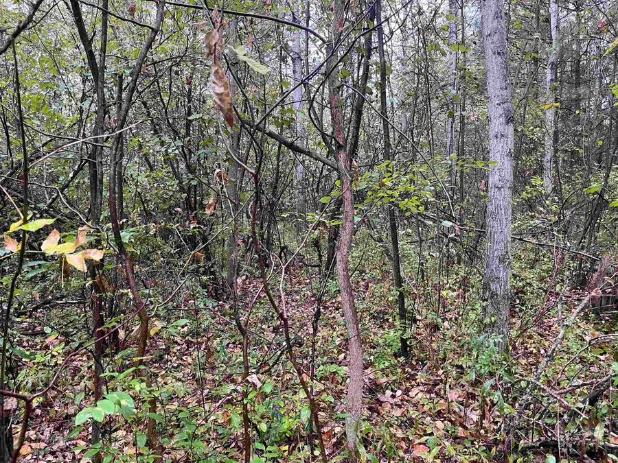 35 Wilber, Tawas City, MI 48763 - Image #2