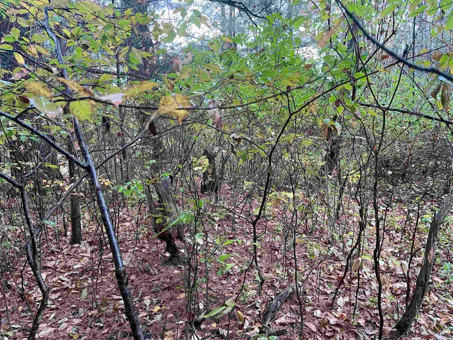 35 Wilber, Tawas City, MI 48763 - Image #3