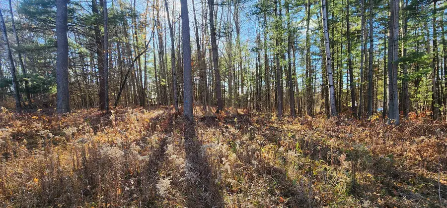 00 W Rainbow, McBain, MI 49657 - Image #3