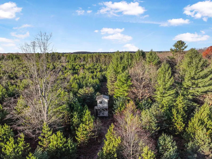 0 Vans, Kingsley, MI 49649 - #2