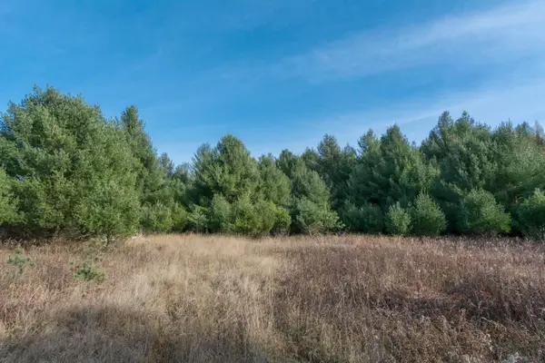 0000 E Bellinger, Cedar, MI 49621