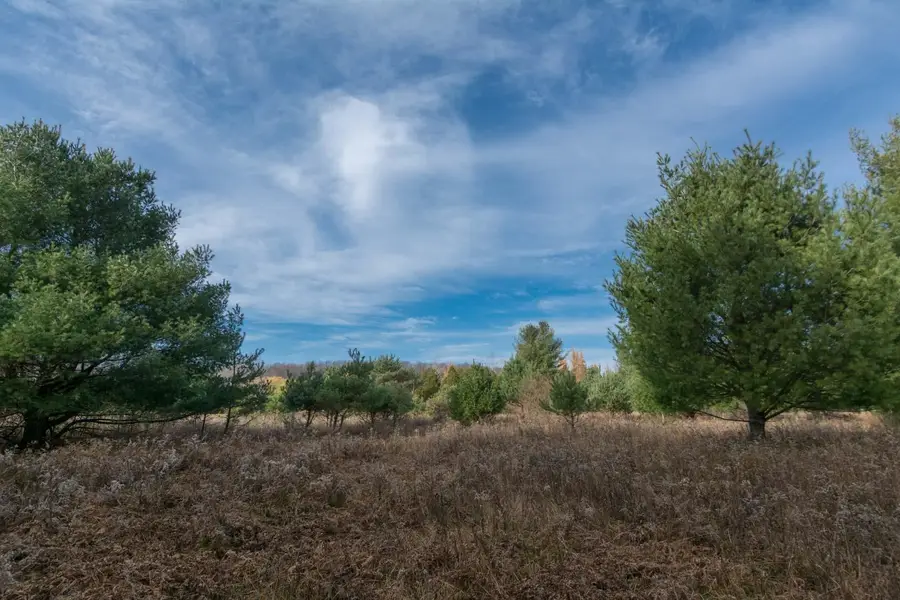 0000 E Bellinger, Cedar, MI 49621 - #2