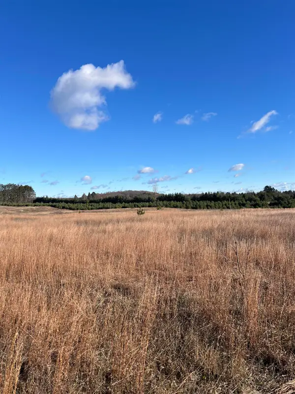 Vacant Land Johnson, Bellaire, MI 49615