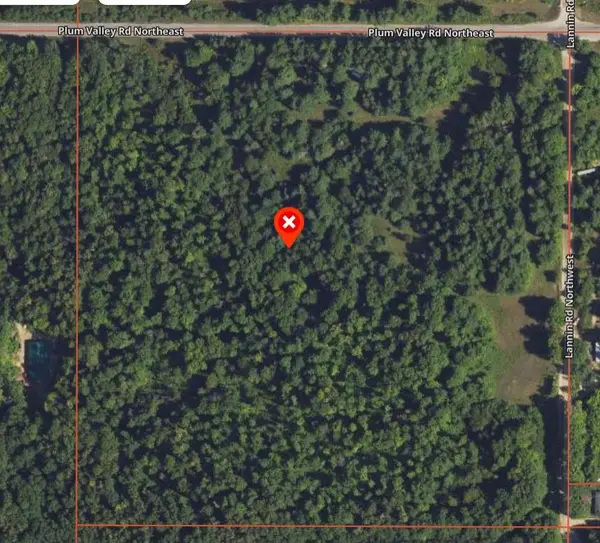 1091 Plum Valley Road Nw, Alden, MI 49612