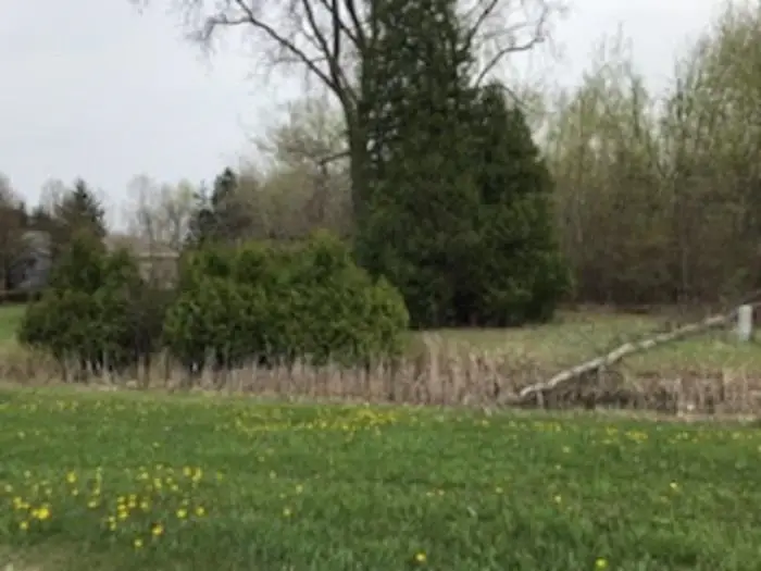 N/A Huron, Au Gres, MI 48703 - Image #2