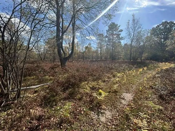 11570 Behlke, Fife Lake, MI 49633