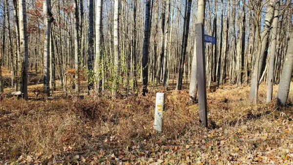 8122 Highland, Stanwood, MI 49346