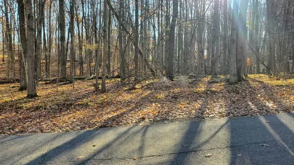 9815 Lost Canyon, Stanwood, MI 49346