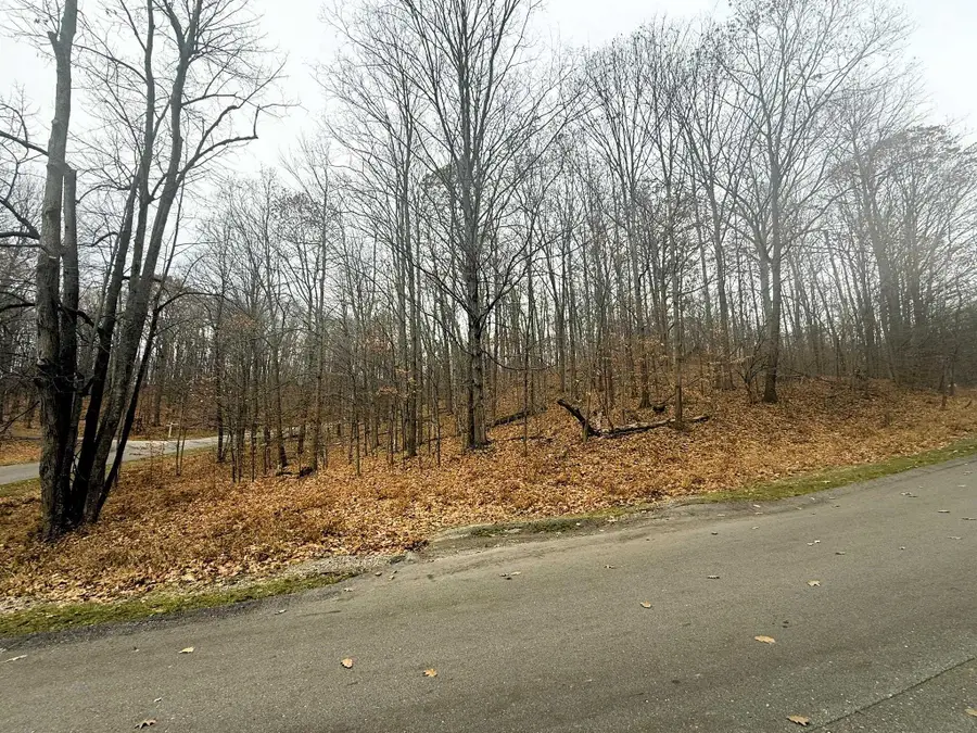 Lot 57 Valley, Bellaire, MI 49615 - Image #3