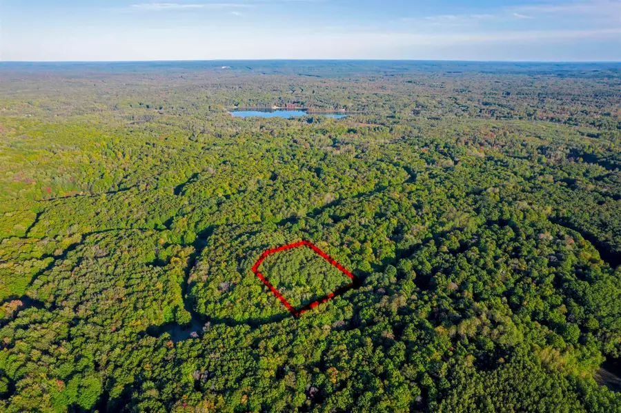 V/L Forestgrove, Elmira, MI 49730 - Image #3