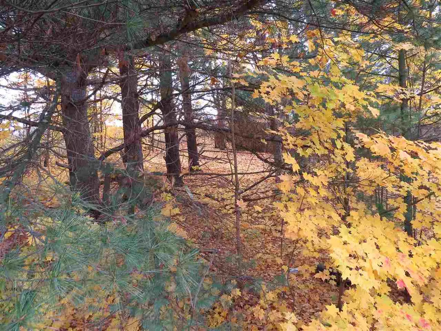 Lot 69 Eden, Kingsley, MI 49649 - #2