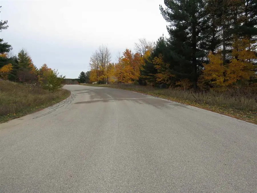Lot 69 Eden, Kingsley, MI 49649 - #3