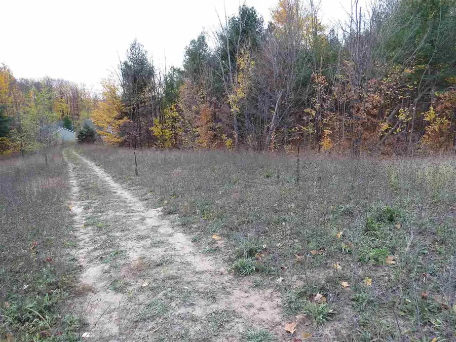 Lot 72 Eden, Kingsley, MI 49649 - #3