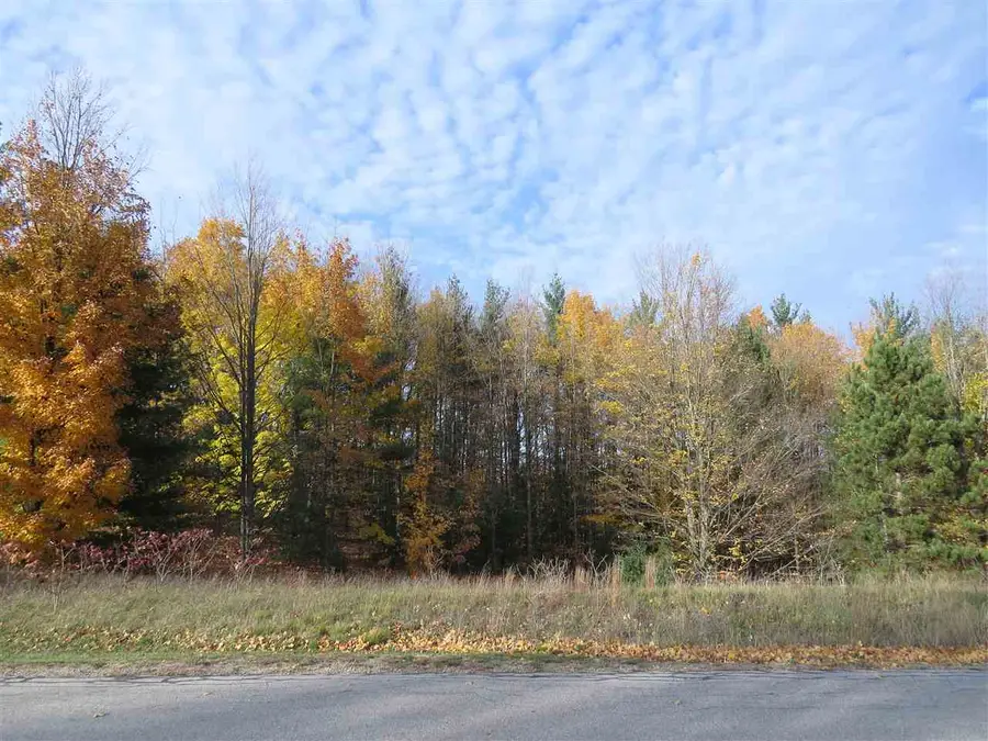 Lot 98 Eden, Kingsley, MI 49649 - Image #3