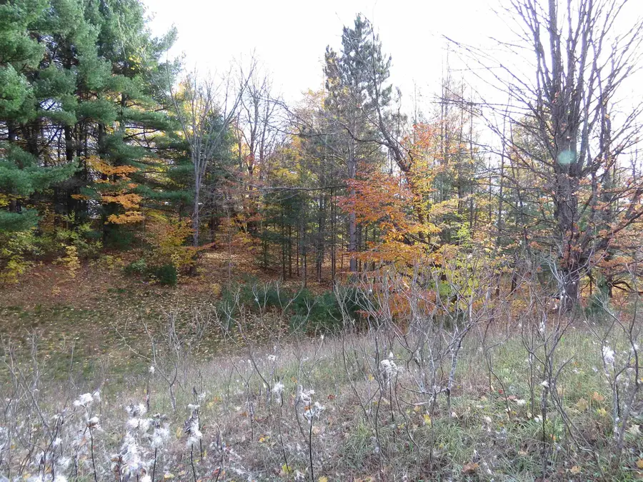 Lot 63 Eden, Kingsley, MI 49649 - #2