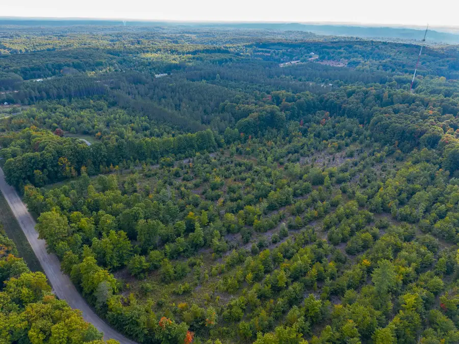 VL 17.5A NW Walker Road, Nw, Rapid City, MI 49676 - Image #2