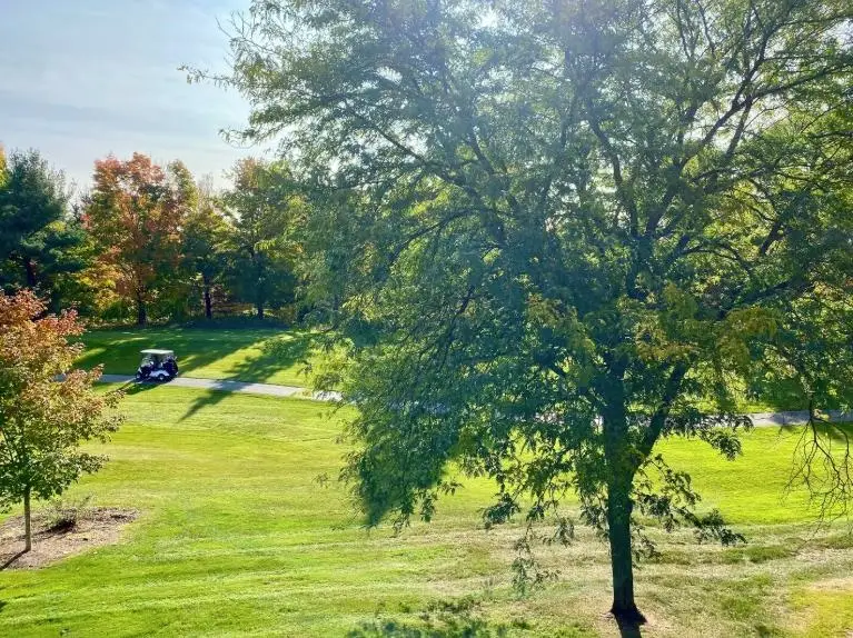 5550 Golfview, Williamsburg, MI 49690 - Image #3