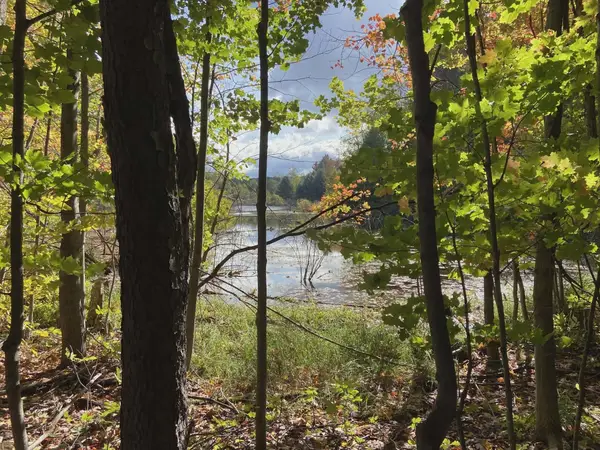 20047 Davis Lake, Traverse City, MI 49684