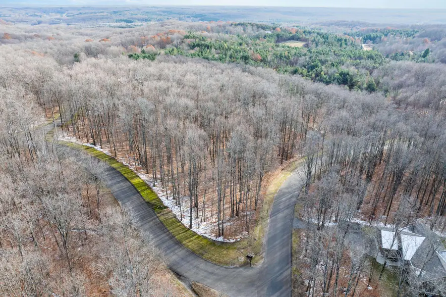 158 Forest Highlands, Bellaire, MI 49615 - Image #2