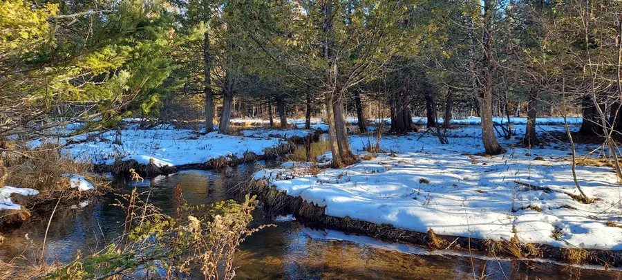 0 Craven Park, Bellaire, MI 49615 - Image #2