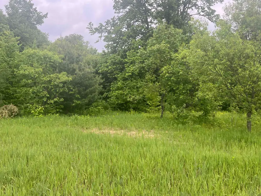 00 Wood Road, Ne, Kalkaska, MI 49646 - #2