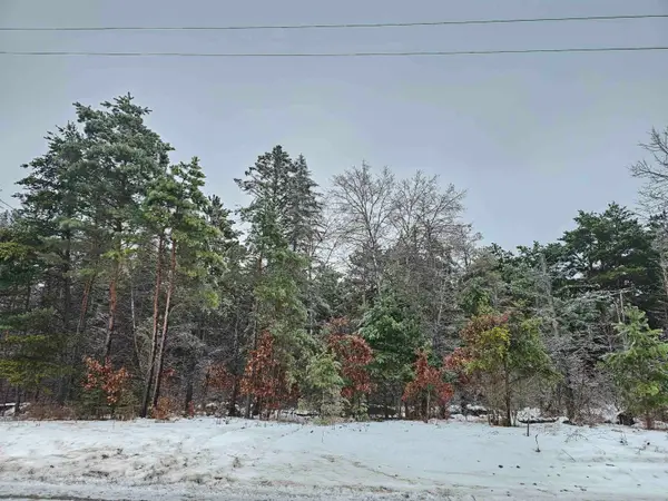 00 Dickerson, Lake City, MI 49651