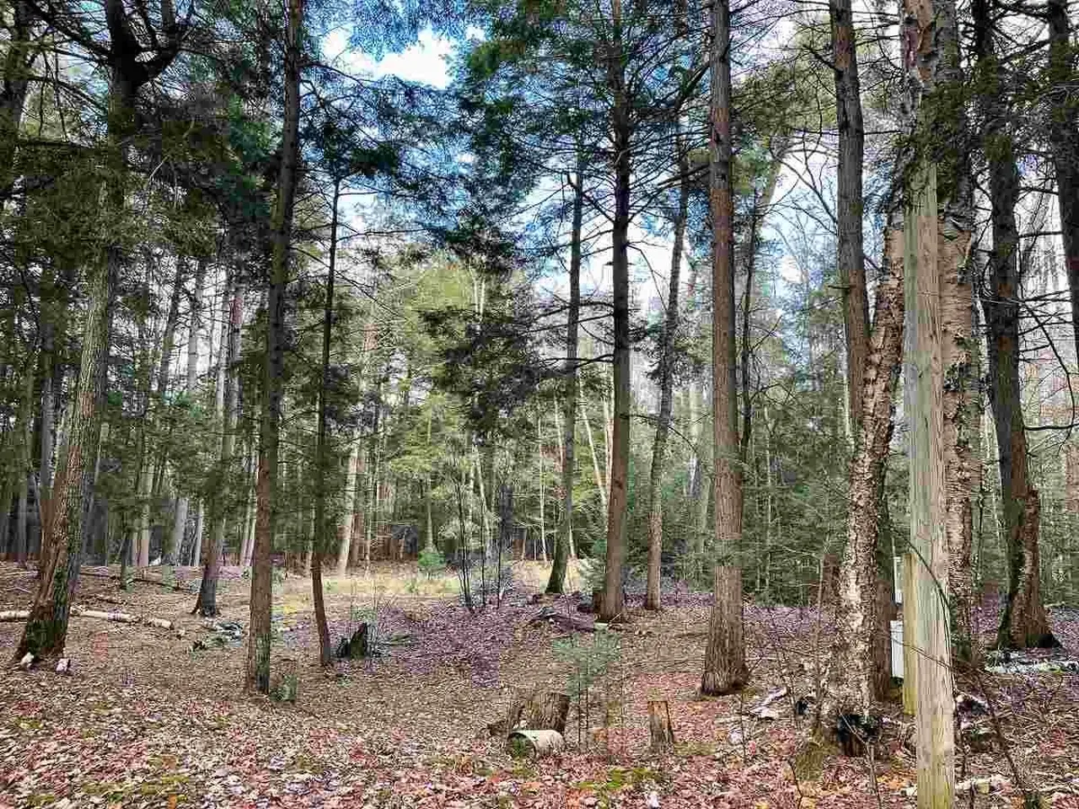 TBD East Side, Beaver Island, MI 49782 - Image #1