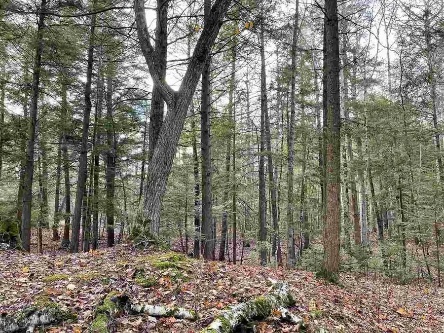 TBD East Side, Beaver Island, MI 49782 - Image #3