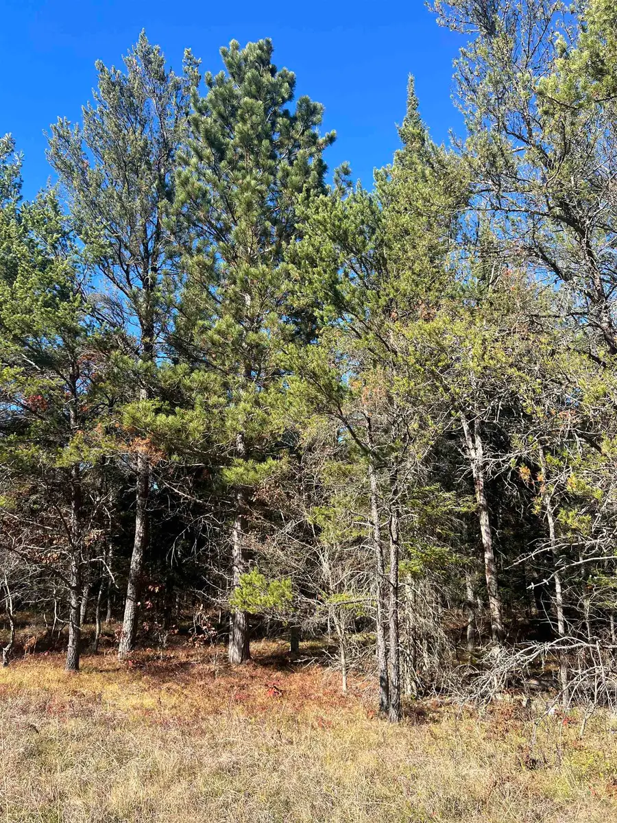 00 E North Down River, Grayling, MI 49738 - #2