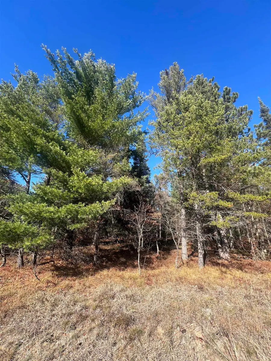 00 E North Down River, Grayling, MI 49738 - #3