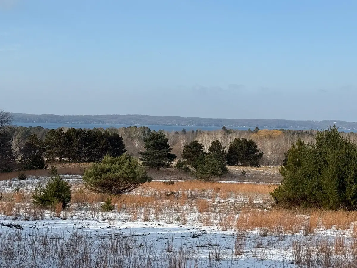 0 Helena, Alden, MI 49612 - #1