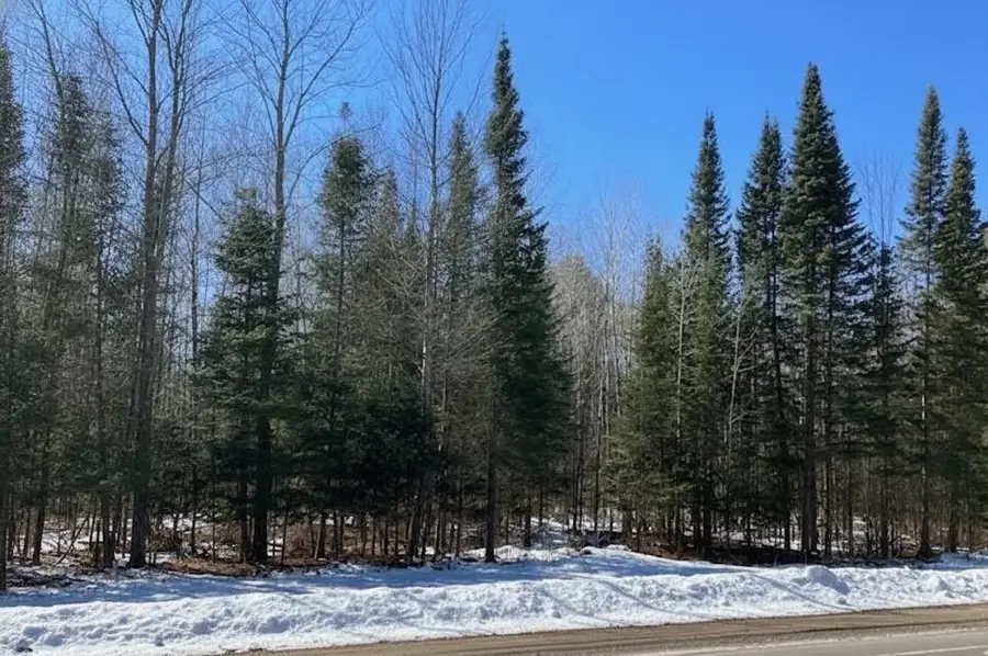 * River, Kingsley, MI 49649 - #2
