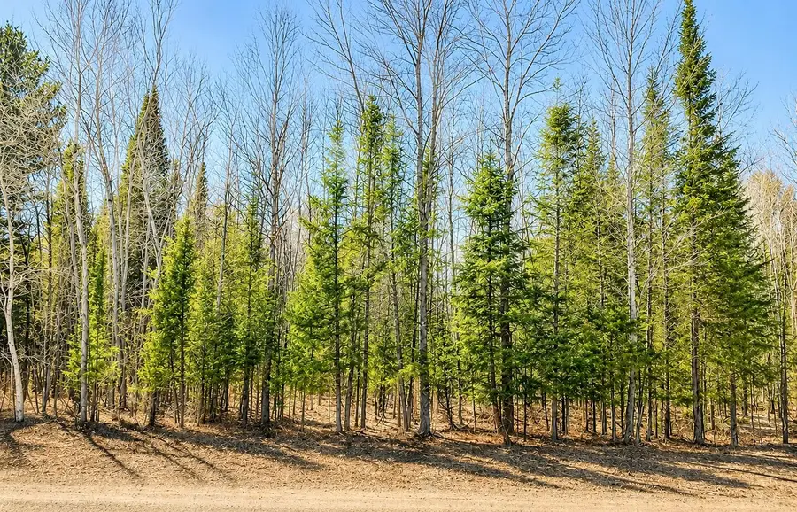 * River, Kingsley, MI 49649 - #3