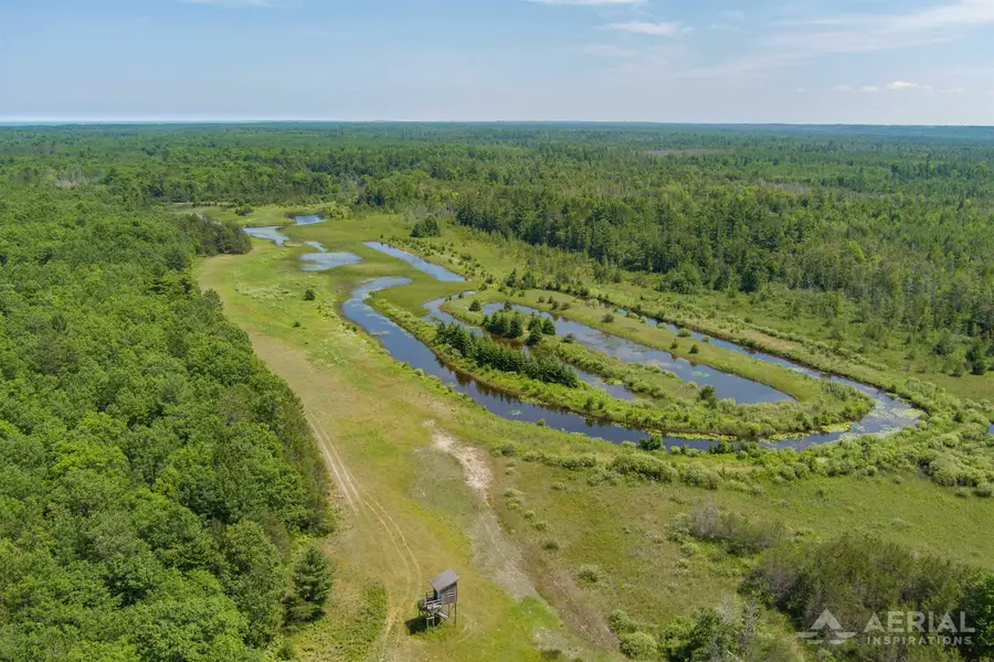 0 Co Road 646, Rogers City, MI 49779 - #3