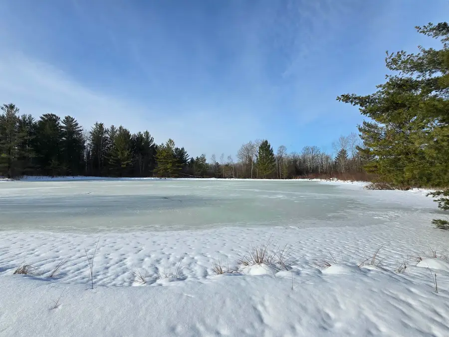 Lot 46 River, Merritt, MI 49667 - #2