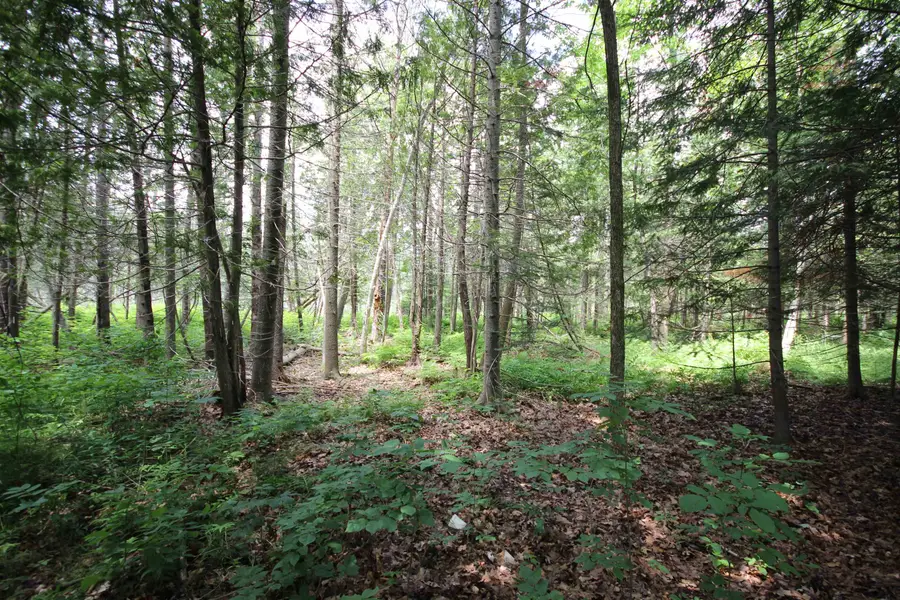 2624 Hartman, Garfield, MI 49685 - Image #2