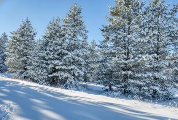 20.71 Spruce Hollow, Fife Lake, MI 49633