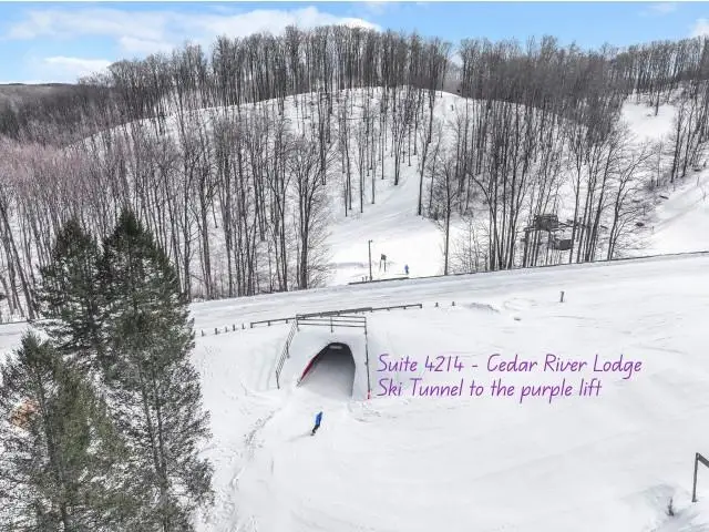 2400 Troon South #4214, Bellaire, MI 49615 - Image #2