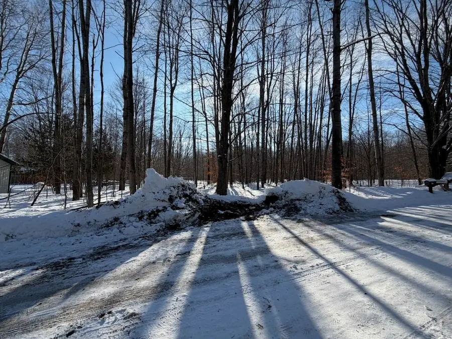 Lots 23,25,27 Muskie, Ellsworth, MI 49729 - Image #2