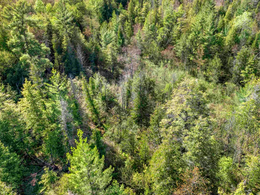 00 Honor, Interlochen, MI 49643 - #2