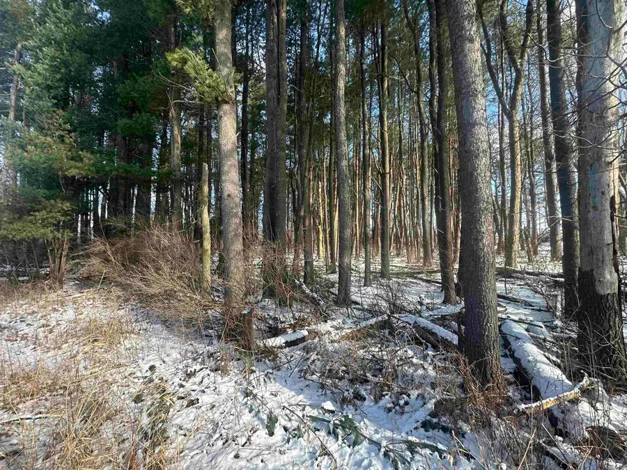 8450 N Brinton, Lake, MI 48632 - #3