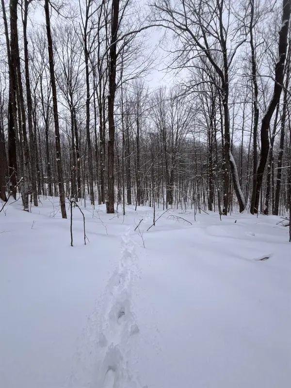 VL 22 Lake Louise, Interlochen, MI 49643