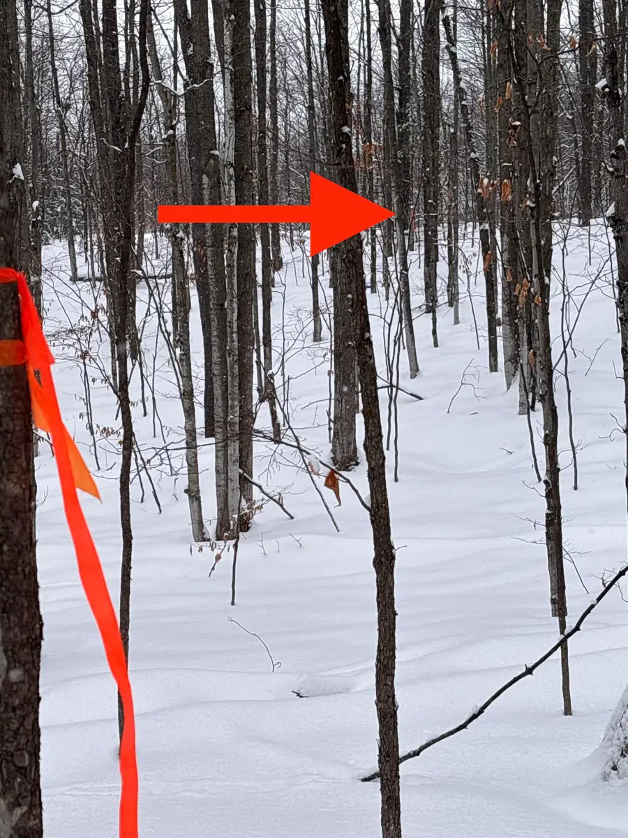 VL 22 Lake Louise, Interlochen, MI 49643 - Image #3